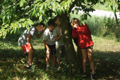 ALPHA_CAMP_2025-24