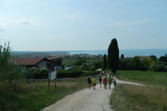 Copia-di-DSCN4222